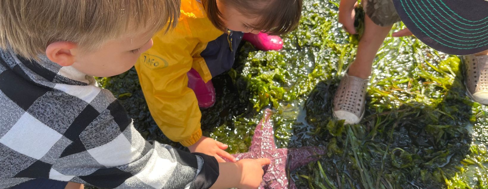 Tide Pools for Tots- July 11 (9:00-10:30 AM)